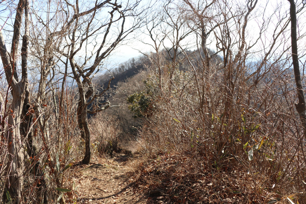 仏果山〜経ヶ岳