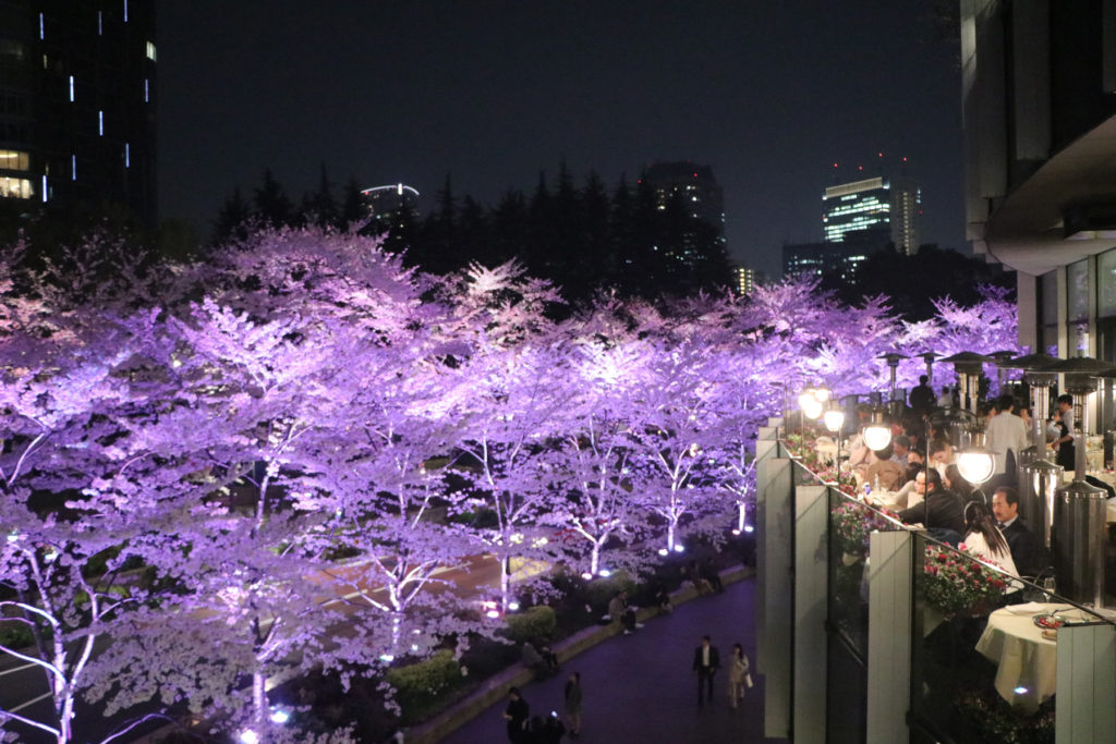 東京ミッドタウン桜並木